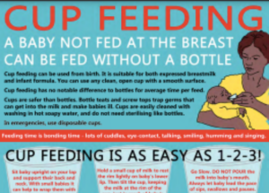 Handout on Cup Feeding for Infants