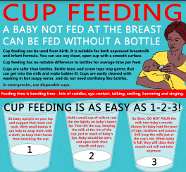 Handout on Cup Feeding for Infants