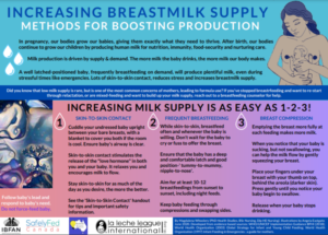 Handout on Increasing Milk Supply and Relactation